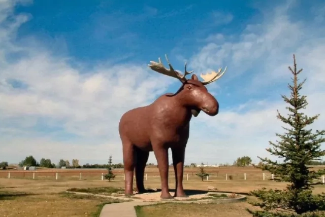加拿大RNIP ——萨省 Moose Jaw